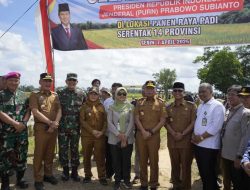 Dukung Target Prabowo, Gubernur Lampung Pimpin Panen Raya Bersama Walikota Metro